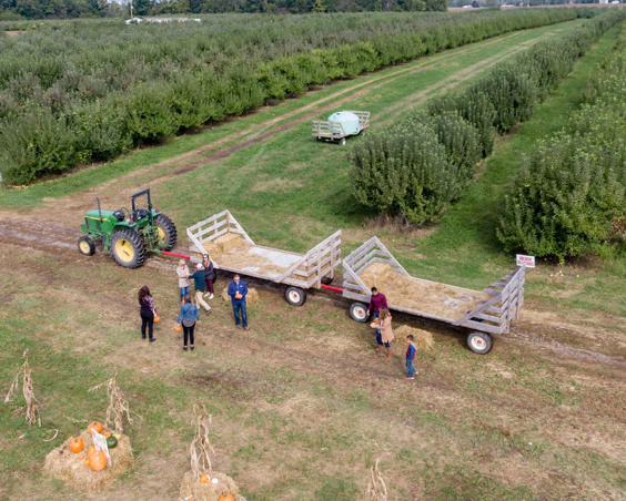 Beasley's Orchard | Hay Ride Pumpkin Patch