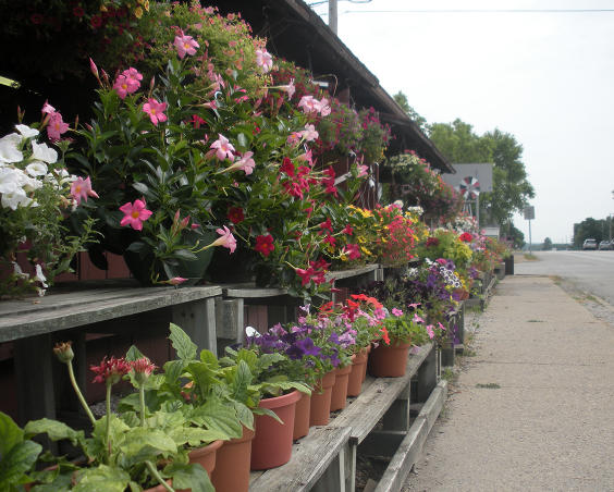 Belleville Farm Market
