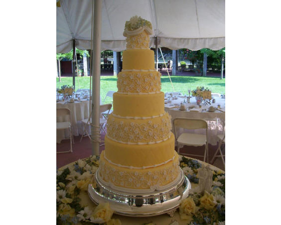 Cake Connection -  Yellow Cake