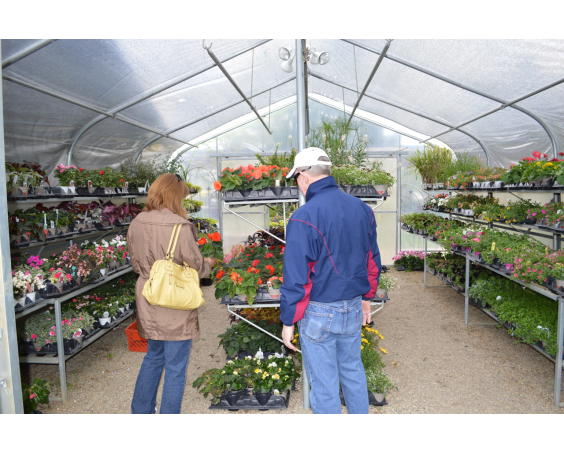 Avon Gardens