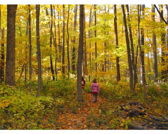 Burnett Woods Avon
