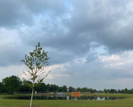 Gibbs Memorial Park | Pond