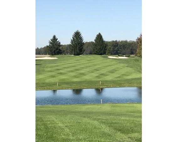 Green and Pond