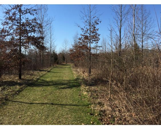 Nature Trails at Echo Hollow Nature Park