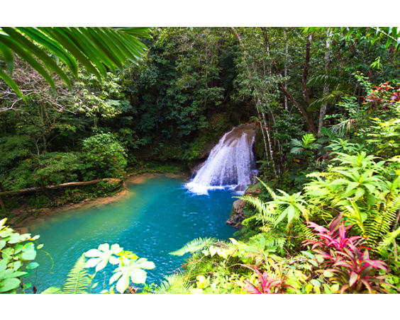 Jamaica