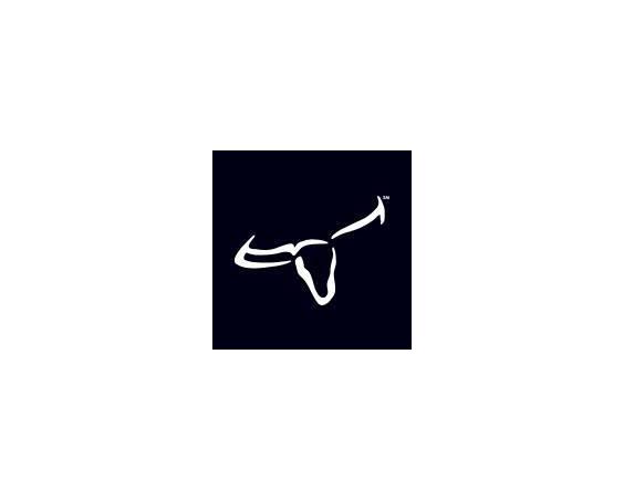LongHorn Steakhouse_Logo