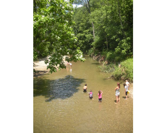 Ellis Park Creek Danville