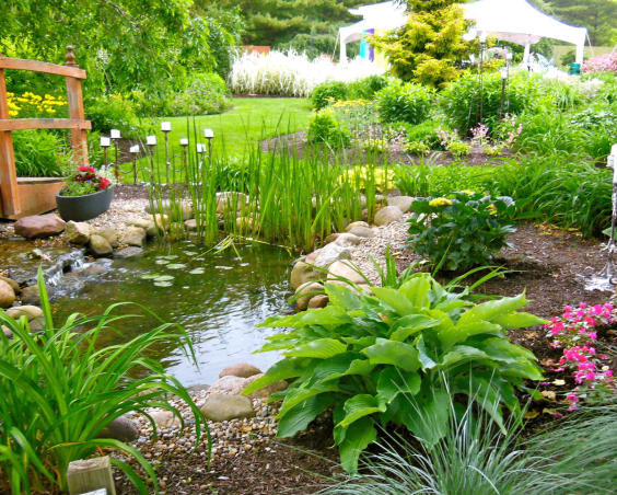 Pond at Avon Gardens