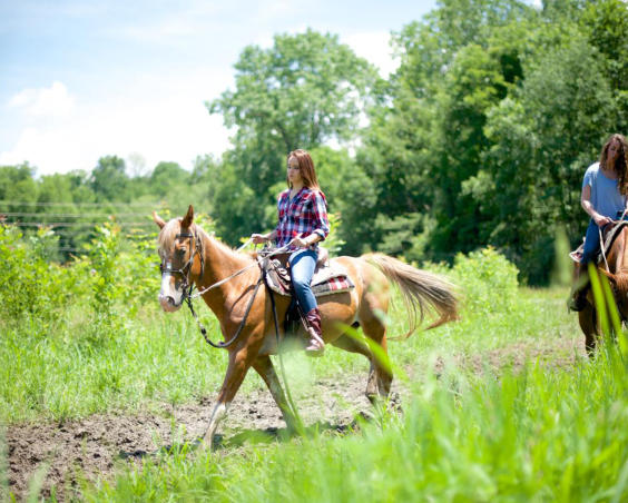 Natural Valley Ranch - Trail Riding Horseback