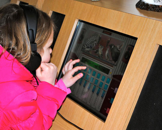 McCloud Nature Park - Indoor Interactive Learning Center