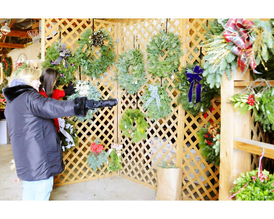 Evans Whispering Tree Farm