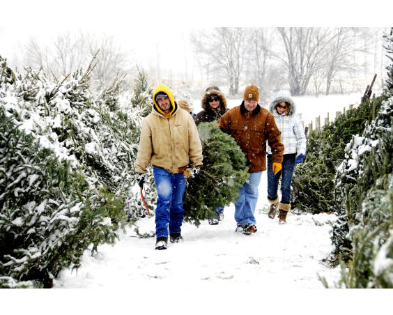 Evans Whispering Tree Farm