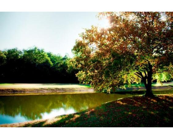 Pond at Prestwick Country Club
