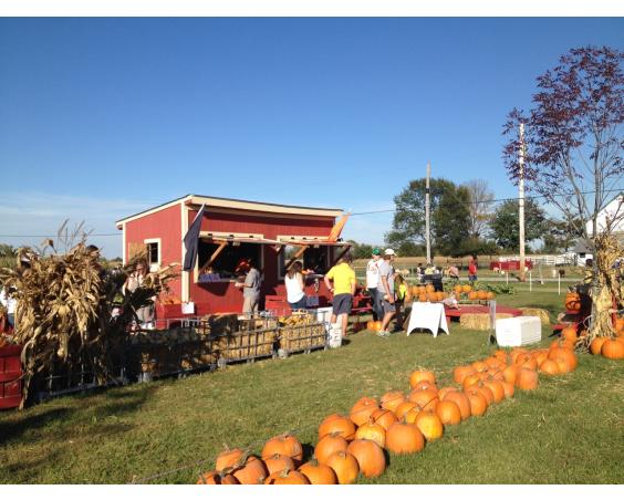 Hogan Farms