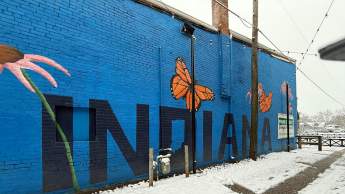 Plainfield Alley Mural