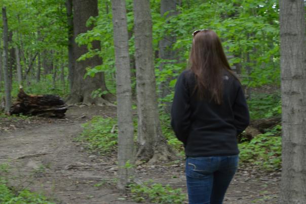 Washington Township Park trail