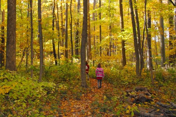 Burnett Woods