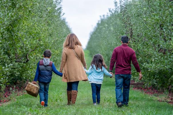 Family Walking at Beasley's Orchard