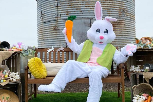 Photos with the Easter Bunny at Beasley's Orchard in Danville.