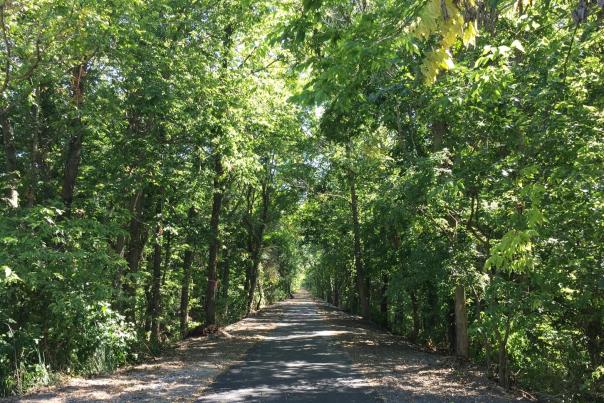 Vandalia Trail