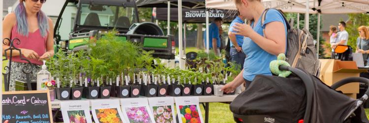 Flower booth at the Brownsburg Farmers Market (Photo provided by Brownsburg Parks)