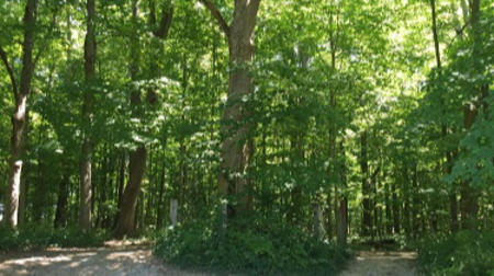 Washington Township Community Park, Avon, Indiana, trails