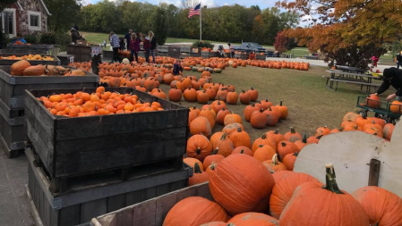 Anderson Orchard (photo by Anderson Orchard on Facebook)