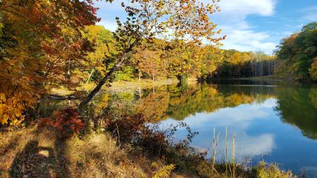 Morgan-Monroe State Forest (Photo by Visit Morgan County, Indiana on Facebook)
