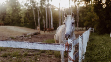 Photo Courtesy of Lacy Clagg Photography.