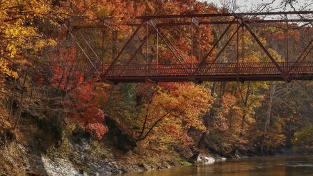 The fall foliage at McCloud Nature Park is spectacular. (Photo by Deb Stukenborg)