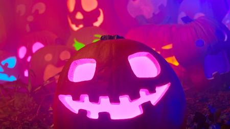 Enjoy a spooky (but not scary) Halloween experience at Newfields in Indianapolis. (Photo courtesy of discovernewfields.org)
