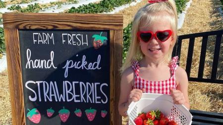 Beasley's Orchard (Photo Courtesy of Beasley's Orchard facebook page)