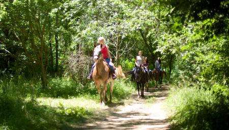 Natural Valley Ranch guided trail ride