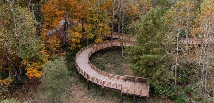 Echo Hollow trail fall