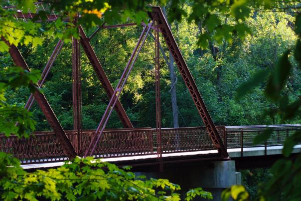 Bridge at McCloud Nature Park