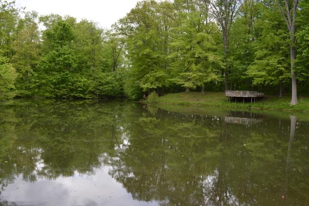 Washington Township Park pond