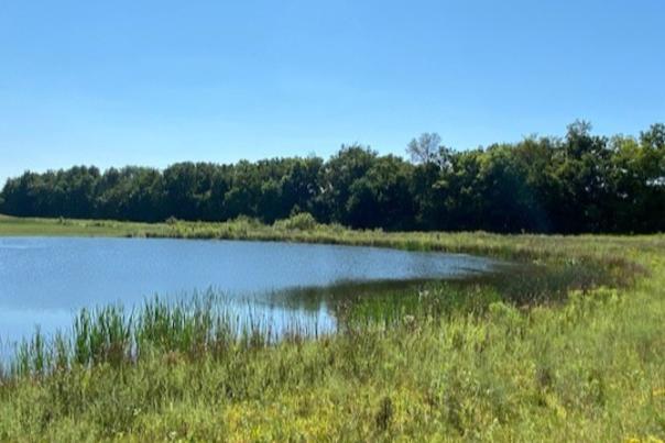 Pecar Park (Photo Courtesy of Washington Township Pecar Park)