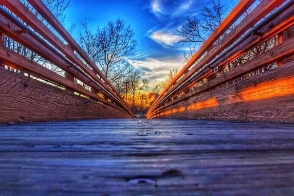Hummel Park bridge