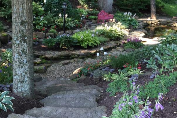 Avon Gardens ravine with rock steps