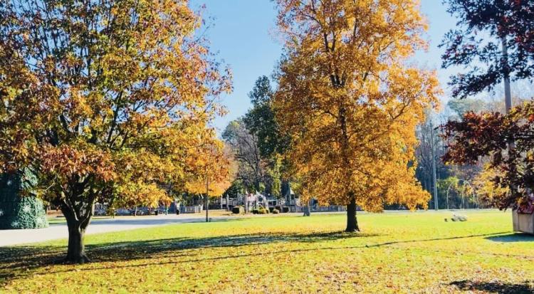 Ellis Park in autumn. (Photo courtesy of Danville Parks & Recreation on Facebook)