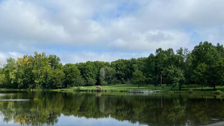 Echo Hollow Nature Park Pond Reflection