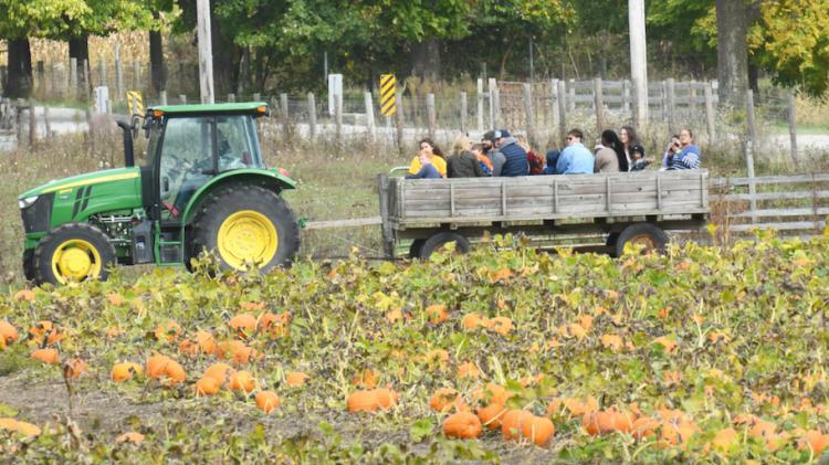 Hogan Farms hayride