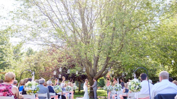 A couple marries below a tree at Avon Gardens (Nate Crouch Photography).