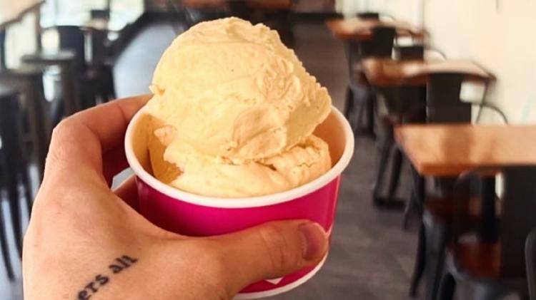 Pumpkin Flavor Ice Cream at Danville DIPS