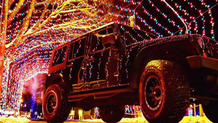 Winterland Holiday Light Show at Ellis Park in Danville. (Photo by Greg VanLaere)