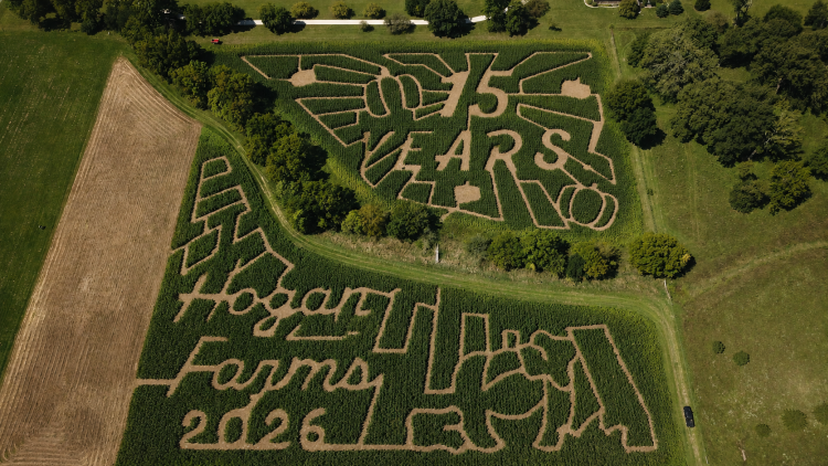 Aerial view of the 2026 Hogan Farms corn maze in Brownsburg, Indiana, featuring a tractor and designs celebrating the farm’s 15th anniversary.