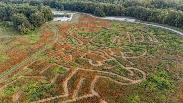 McCloud Nature Park's 2025 prairie maze