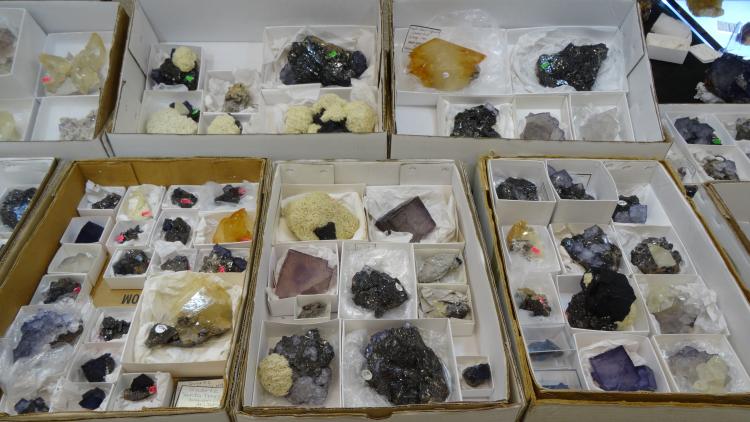 Gem & Jewelry Show