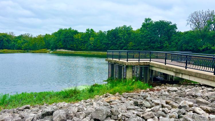 Pier overlooking lake at Blue Heron Park