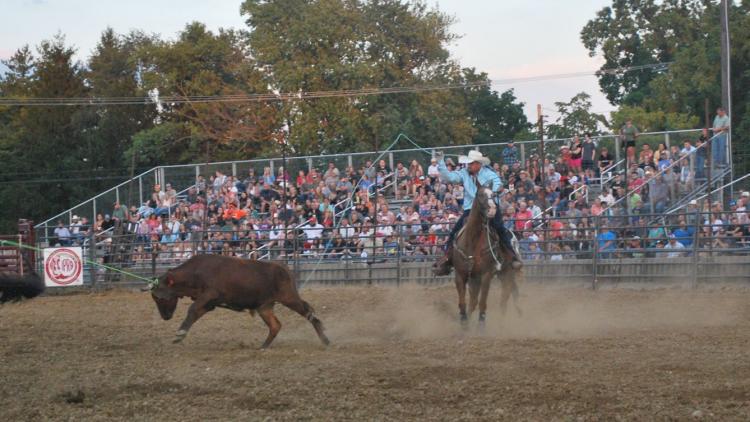4-H Fair (Photo Courtesy of 4-H Fair website)